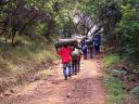 Forest Trail to Machame Camp